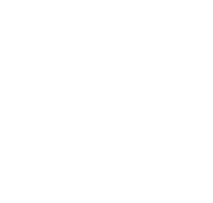 Fluffy Dance Poms