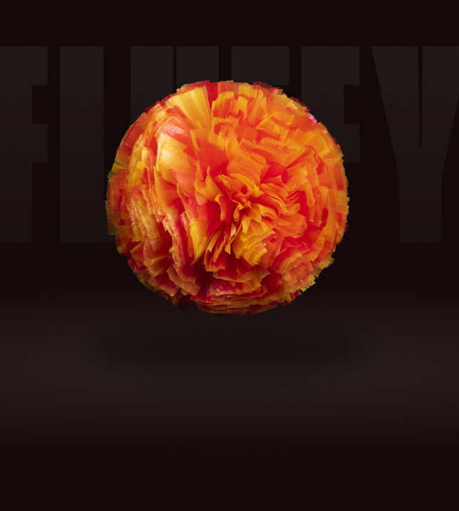 Fire (51)